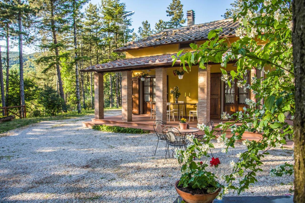 Il Ginepro Villa Cortona Eksteriør bilde